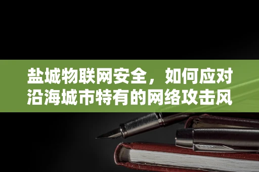 盐城物联网安全，如何应对沿海城市特有的网络攻击风险？
