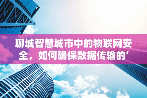 聊城智慧城市中的物联网安全，如何确保数据传输的‘零风险’？