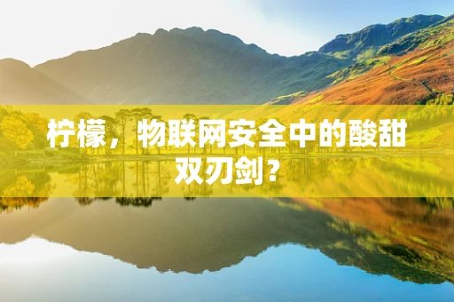 柠檬，物联网安全中的酸甜双刃剑？