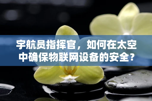 宇航员指挥官，如何在太空中确保物联网设备的安全？