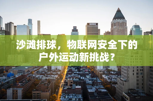 沙滩排球，物联网安全下的户外运动新挑战？