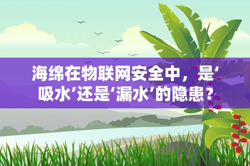 海绵在物联网安全中，是‘吸水’还是‘漏水’的隐患？