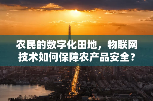 农民的数字化田地，物联网技术如何保障农产品安全？
