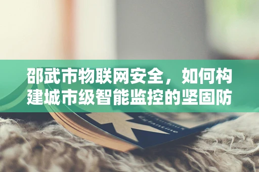 邵武市物联网安全，如何构建城市级智能监控的坚固防线？