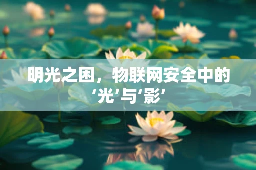 明光之困，物联网安全中的‘光’与‘影’