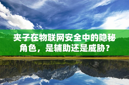 夹子在物联网安全中的隐秘角色，是辅助还是威胁？