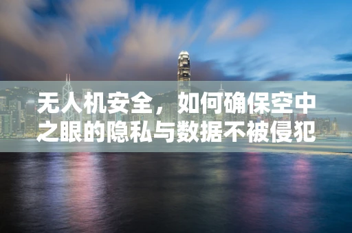 无人机安全，如何确保空中之眼的隐私与数据不被侵犯？