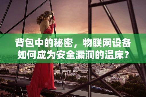 背包中的秘密，物联网设备如何成为安全漏洞的温床？
