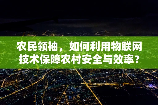 农民领袖，如何利用物联网技术保障农村安全与效率？