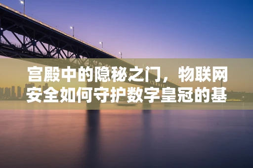 宫殿中的隐秘之门，物联网安全如何守护数字皇冠的基石？