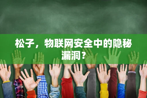 松子，物联网安全中的隐秘漏洞？