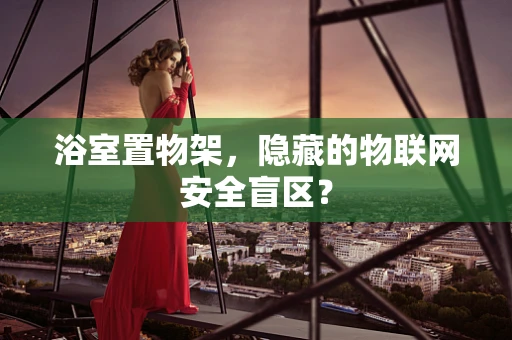浴室置物架，隐藏的物联网安全盲区？