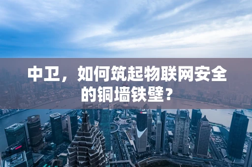 中卫，如何筑起物联网安全的铜墙铁壁？