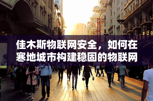 佳木斯物联网安全，如何在寒地城市构建稳固的物联网防护网？