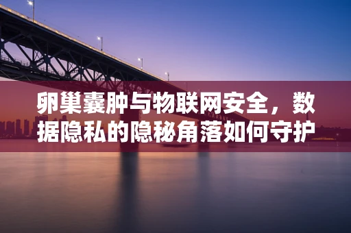卵巢囊肿与物联网安全，数据隐私的隐秘角落如何守护？