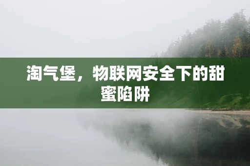 淘气堡，物联网安全下的甜蜜陷阱