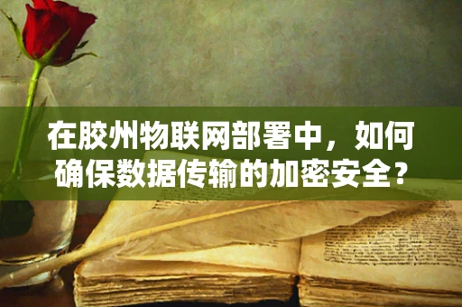 在胶州物联网部署中，如何确保数据传输的加密安全？