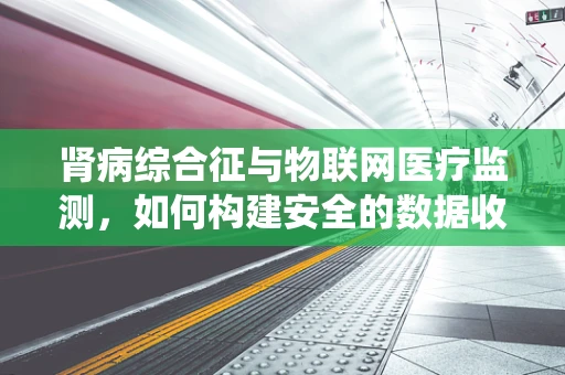 肾病综合征与物联网医疗监测，如何构建安全的数据收集与处理系统？