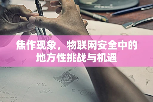 焦作现象，物联网安全中的地方性挑战与机遇