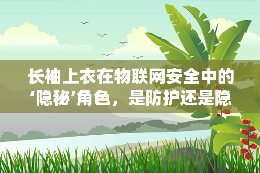 长袖上衣在物联网安全中的‘隐秘’角色，是防护还是隐患？