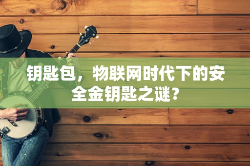 钥匙包，物联网时代下的安全金钥匙之谜？