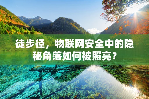 徒步径，物联网安全中的隐秘角落如何被照亮？
