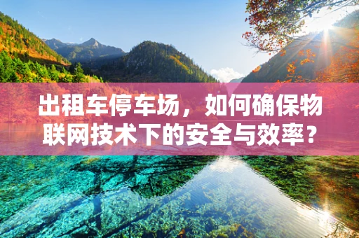 出租车停车场，如何确保物联网技术下的安全与效率？