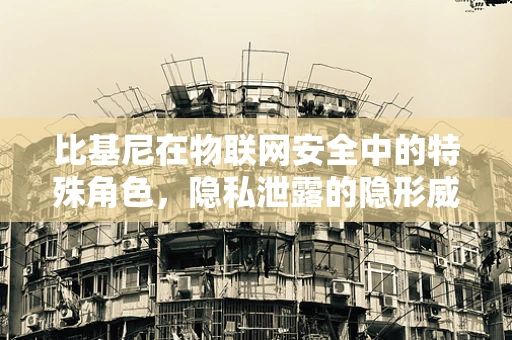 比基尼在物联网安全中的特殊角色，隐私泄露的隐形威胁？