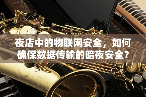 夜店中的物联网安全，如何确保数据传输的暗夜安全？