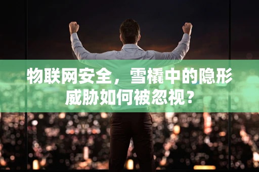 物联网安全，雪橇中的隐形威胁如何被忽视？