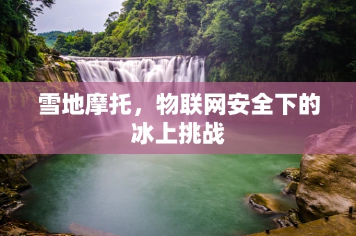 雪地摩托，物联网安全下的冰上挑战
