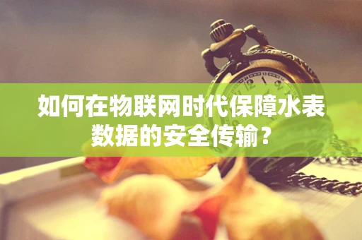 如何在物联网时代保障水表数据的安全传输？