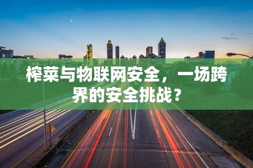榨菜与物联网安全，一场跨界的安全挑战？