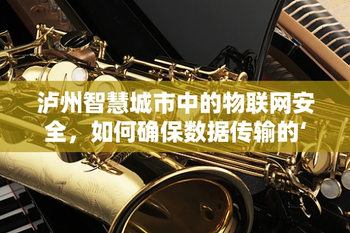 泸州智慧城市中的物联网安全，如何确保数据传输的‘零’风险？