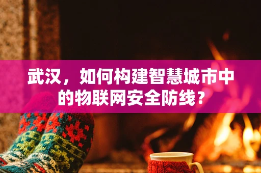 武汉，如何构建智慧城市中的物联网安全防线？