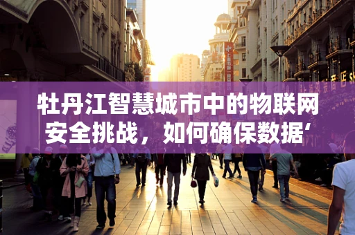 牡丹江智慧城市中的物联网安全挑战，如何确保数据‘云’上安全？