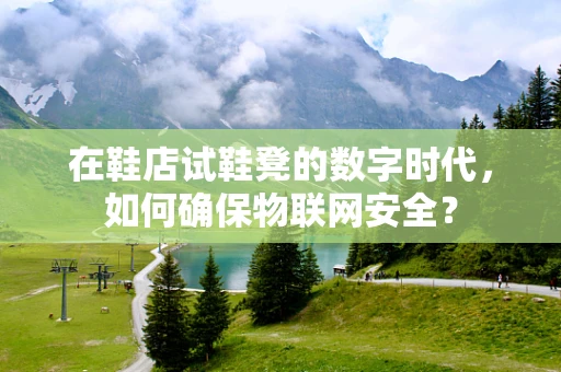 在鞋店试鞋凳的数字时代，如何确保物联网安全？
