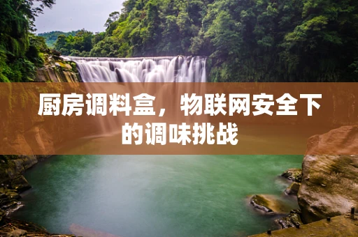 厨房调料盒，物联网安全下的调味挑战
