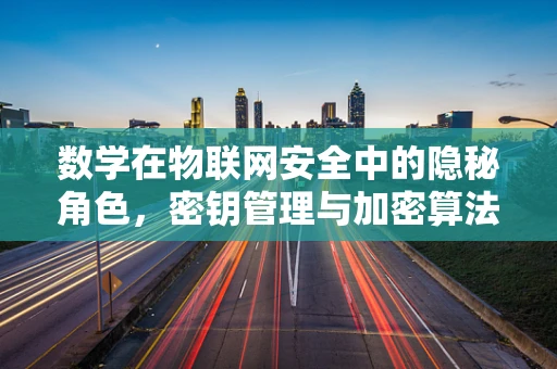 数学在物联网安全中的隐秘角色，密钥管理与加密算法的奥秘