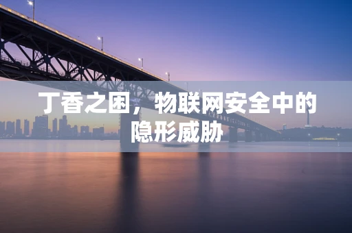 丁香之困，物联网安全中的隐形威胁