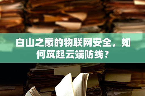 白山之巅的物联网安全，如何筑起云端防线？
