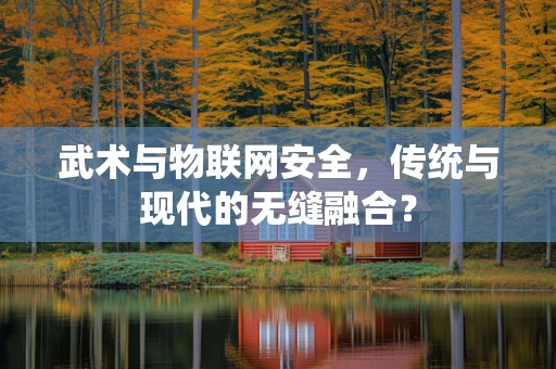 武术与物联网安全，传统与现代的无缝融合？