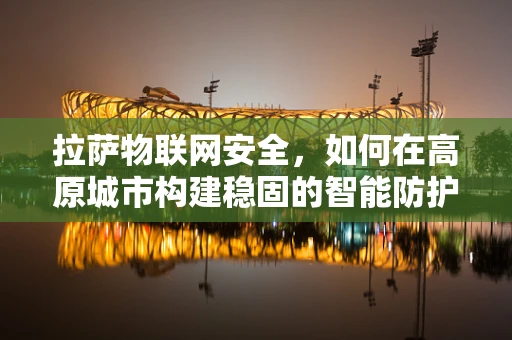 拉萨物联网安全，如何在高原城市构建稳固的智能防护网？