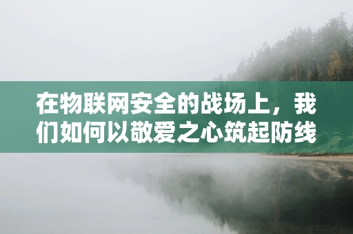 在物联网安全的战场上，我们如何以敬爱之心筑起防线？