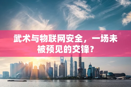 武术与物联网安全，一场未被预见的交锋？