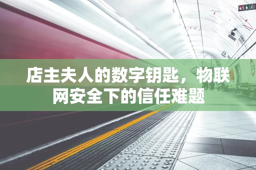 店主夫人的数字钥匙，物联网安全下的信任难题