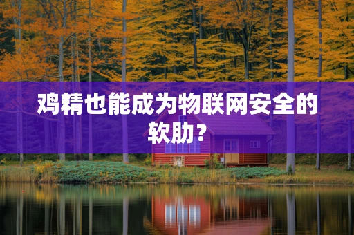 鸡精也能成为物联网安全的软肋？
