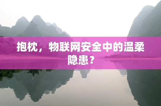 抱枕，物联网安全中的温柔隐患？