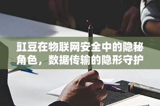 豇豆在物联网安全中的隐秘角色，数据传输的隐形守护者？