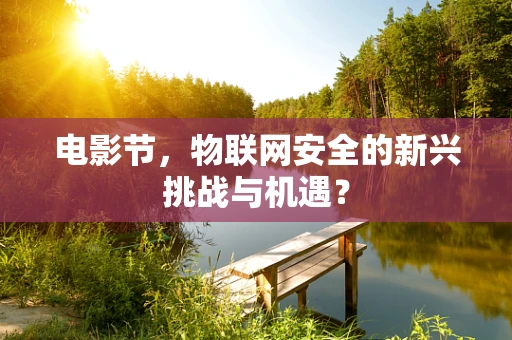 电影节，物联网安全的新兴挑战与机遇？